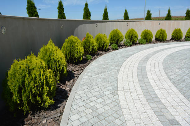 Best Residential Paver Driveway  in Socastee, SC